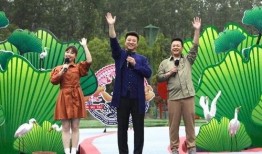 台儿庄金币爆料视频最新,历史珍宝再现，投资收藏新热点